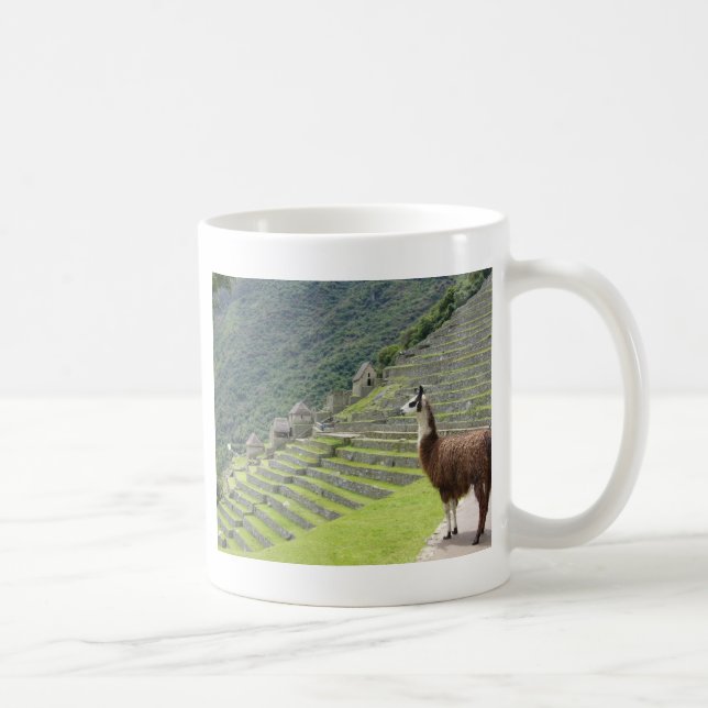 Taza De Café tierras de llama (Derecha)