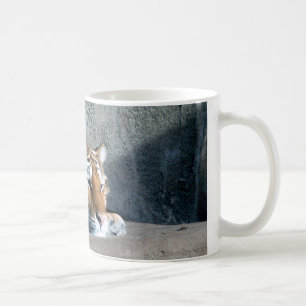 Taza De Café tiger3