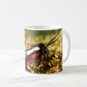 Taza De Café Tiger Moth Bug Mug en el lugar de crema