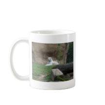 Tigre blanco que toma el sol