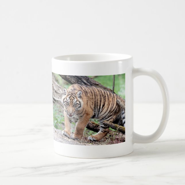 Taza De Café Tigre fotográfico, gato. (Derecha)