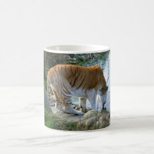Taza De Café Tigre indio animal