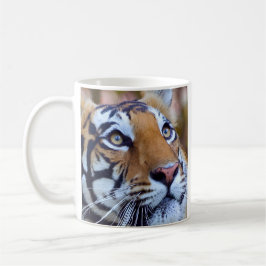 Taza De Café Tigre majestuoso