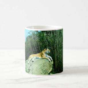 Taza De Café Tigre relajante
