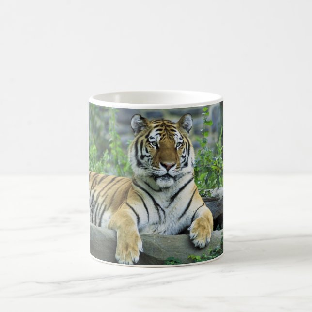 Taza De Café Tigre, siberiano (Centro)