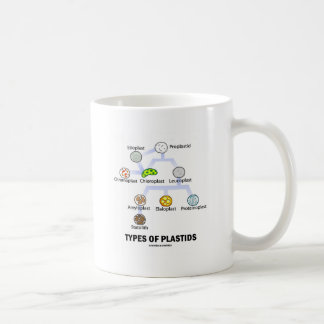 Taza De Café Tipos de Plastids