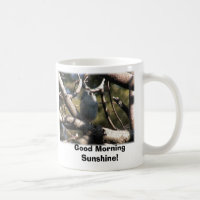 ¡Titmouse copetudo, sol de la buena mañana!