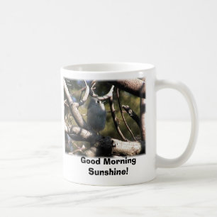 Taza De Café ¡Titmouse copetudo, sol de la buena mañana!