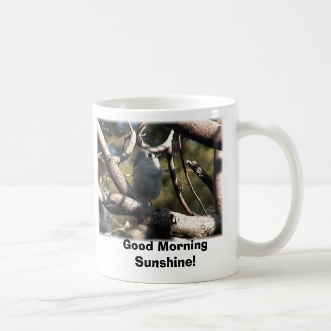Taza De Café ¡Titmouse copetudo, sol de la buena mañana! (Derecha)