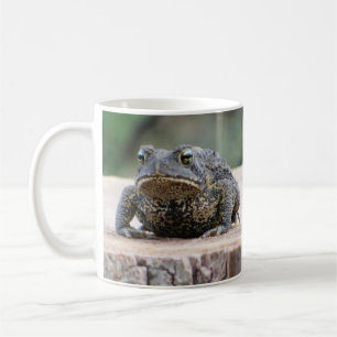 Taza De Café Toad on a Stump