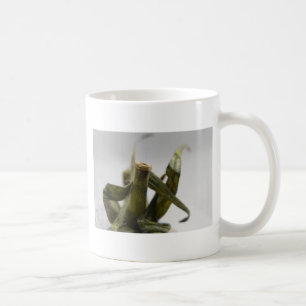 Taza De Café Tomate