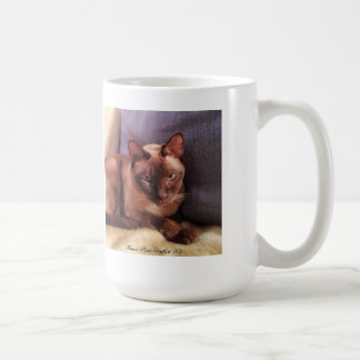 Taza De Café Tonkinese, mirada intensa