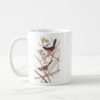 Taza De Café Toque para revolver a las aves negras y Naranjas