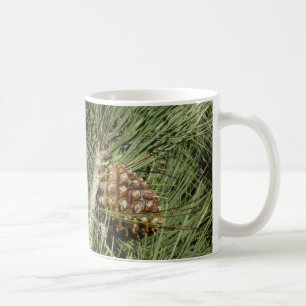 Taza De Café Torrey Pine Closeup California Botanical