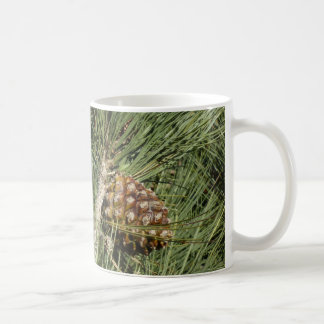 Taza De Café Torrey Pine Closeup California Botanical