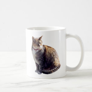 Taza De Café Tortoiseshell Cat