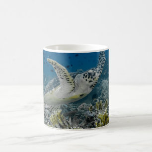 Taza De Café Tortuga Carey Nadando