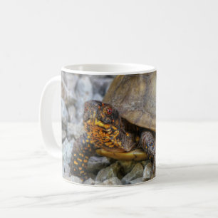 Taza De Café Tortuga de caja