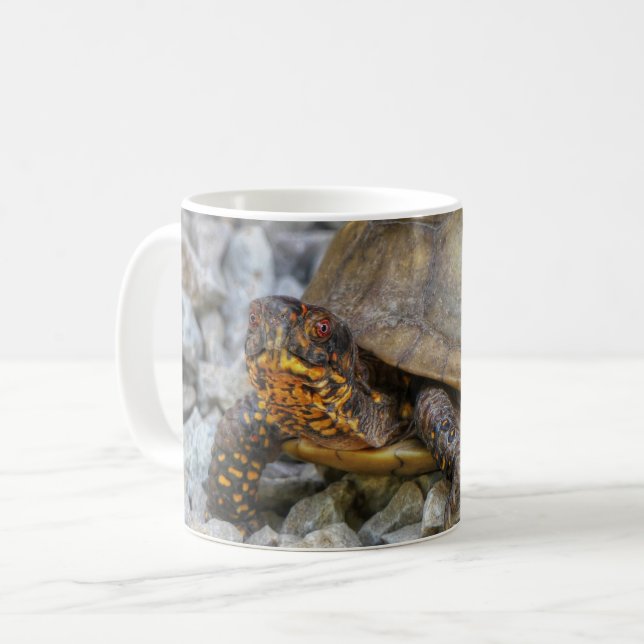 Taza De Café Tortuga de caja (Anverso izquierdo)