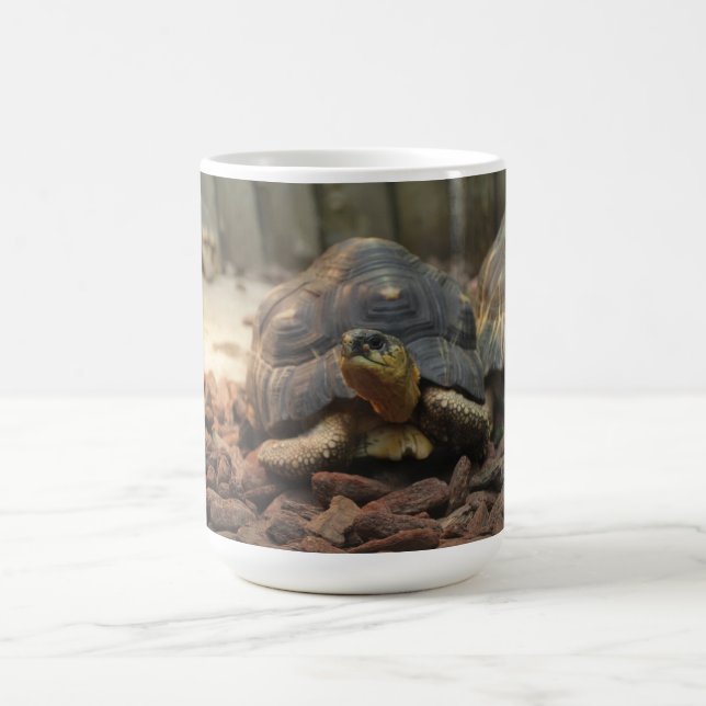 Taza De Café Tortuga de la tierra (Centro)