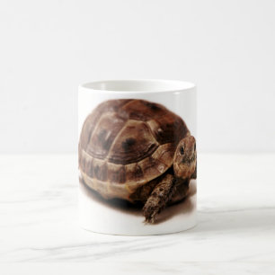 Taza De Café Tortuga de reclinación