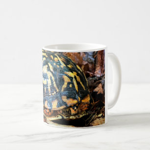 Taza De Café Tortuga en el bosque, Chester, South Carolina Post