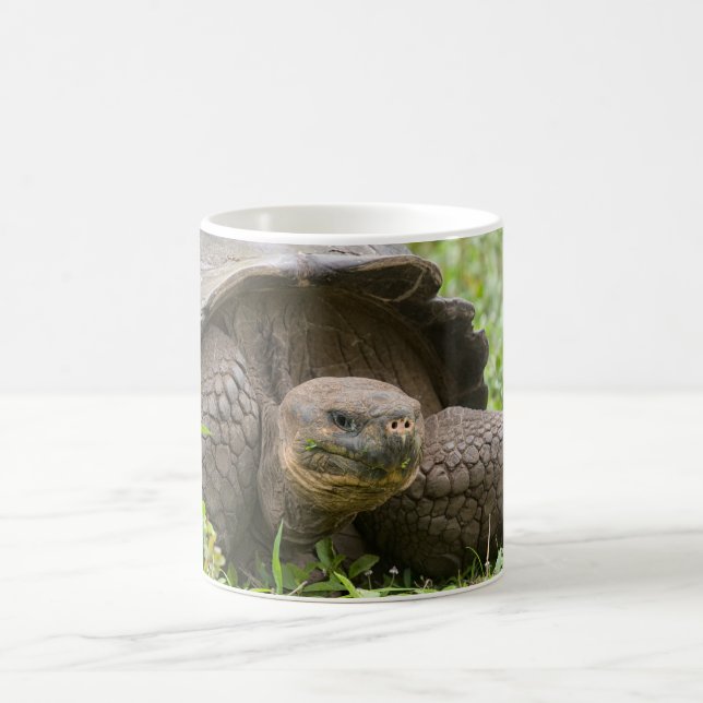 Taza De Café Tortuga gigante (Centro)