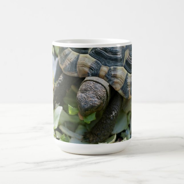 Taza De Café Tortuga linda (Centro)