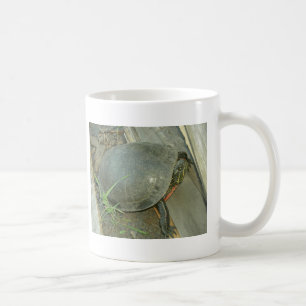Taza De Café Tortuga pintada (Chrysemys picta)
