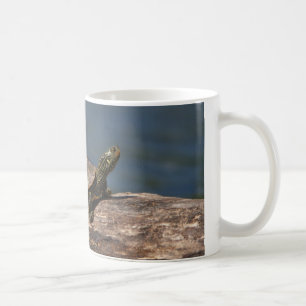 Taza De Café Tortuga pintada en un tronco