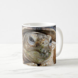Taza De Café Tortuga provocada por África, cara de tortuga de S