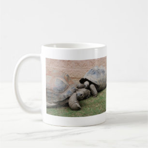 Taza De Café tortugas gigantes