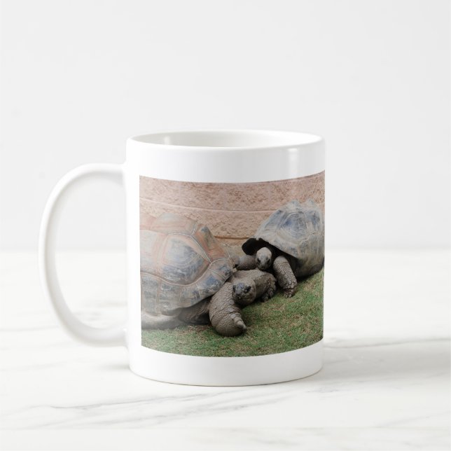 Taza De Café tortugas gigantes (Izquierda)