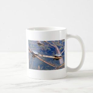 Taza De Café Tortugas pintadas (Chrysemys picta)