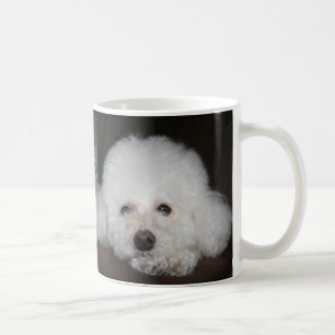 Taza De Café Toy Poodle Mug