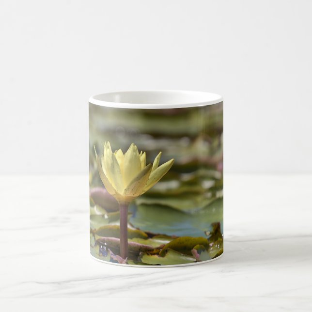 Taza De Café Tranquil Water Lily Coffee Mug – Nature Photograph (Centro)