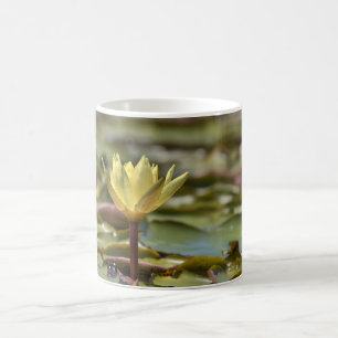 Taza de café Tranquil Water Lily – Fotografía de l