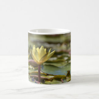 Taza de café Tranquil Water Lily – Fotografía de l