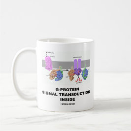 Taza De Café Transducción de la señal de la G-Proteína dentro