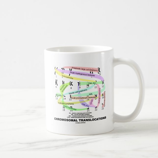 Taza De Café Translocaciones cromosómicas (Karyograma) (Derecha)
