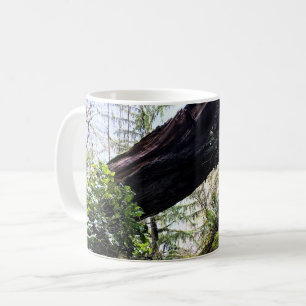 Taza De Café Trayecto de buceo de bosques costeros, decepción d
