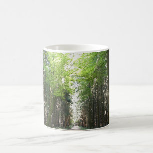 Taza De Café Trayectoria a través del bosque