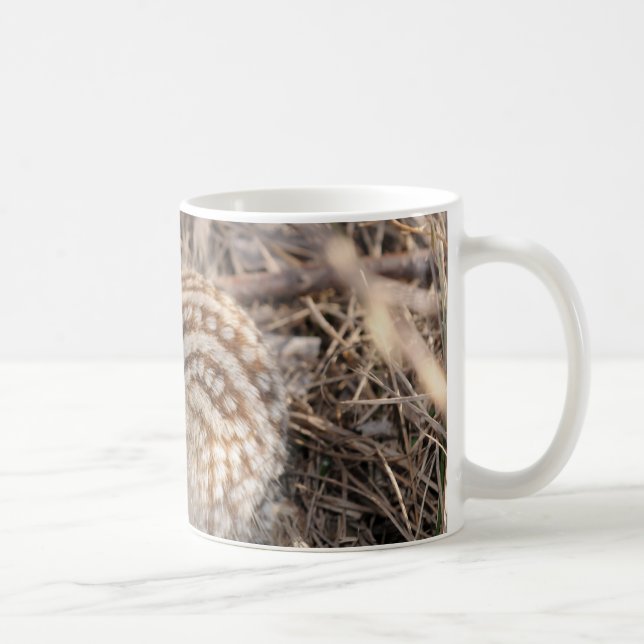 Taza De Café Trece alinearon la ardilla de tierra (Derecha)