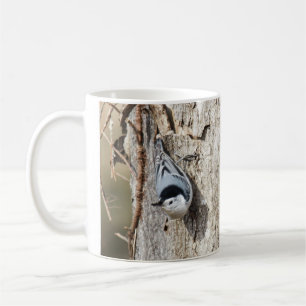 Taza De Café Trepatroncos Blanco-breasted