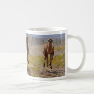Taza De Café Tres camellos jovenes