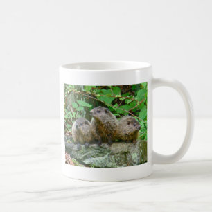 Taza De Café Tres crías de marmotas americanas