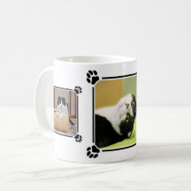 Tres fotos personalizadas de gatos en un collage c