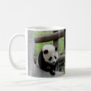 Taza De Café Tres Pandas Bebés