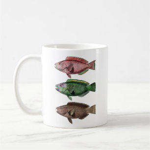 Taza De Café Tres pescados, loro y pescado