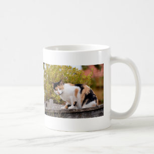 Taza De Café Tricolor